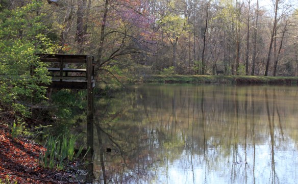 Early morning light at Bethany Hills by Lisa Ernst 