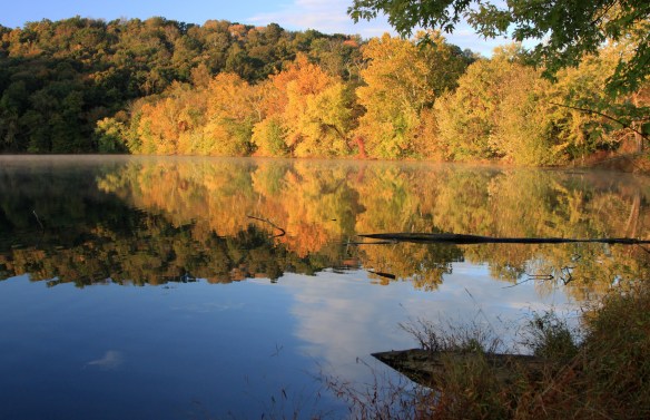 Fall Gold by Lisa Ernst