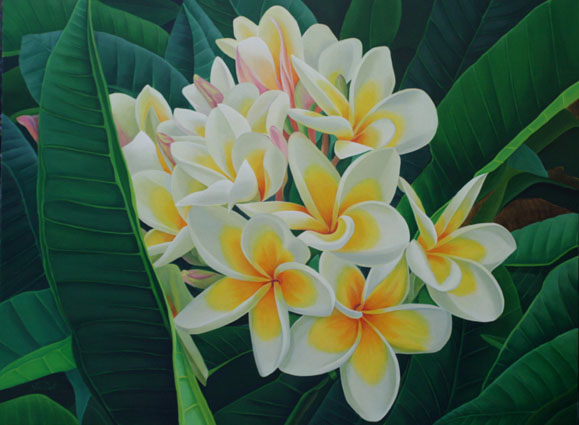 plumeria1webmed